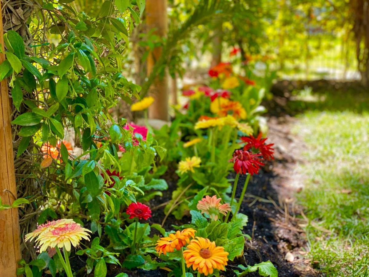 Beach Garden Paradise Durrës Zewnętrze zdjęcie